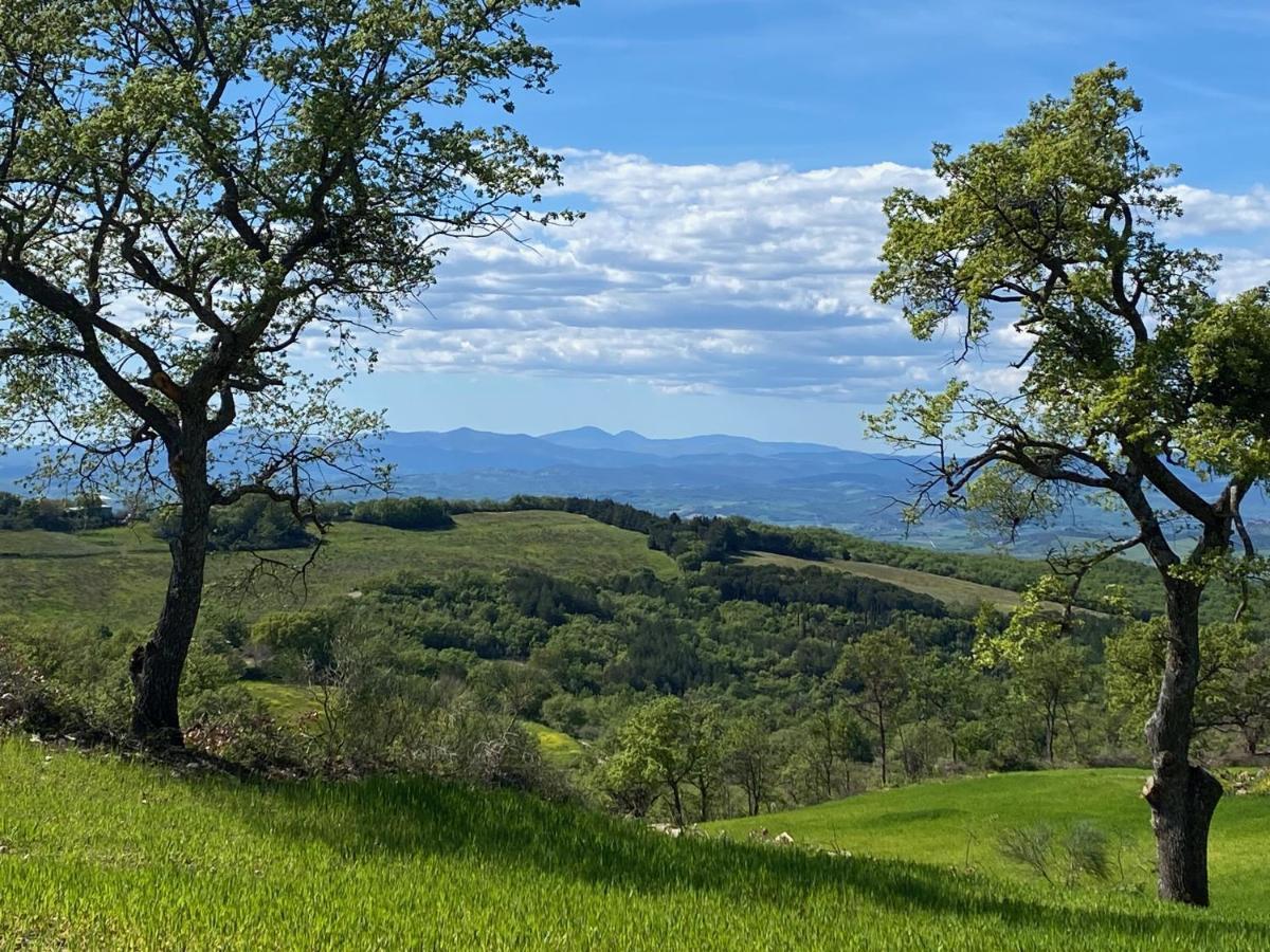 La Colombaia Amiata Bed & Breakfast Arcidosso Eksteriør bilde