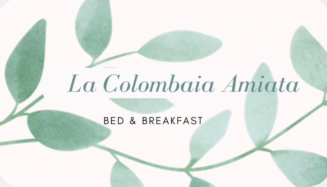 La Colombaia Amiata Bed & Breakfast Arcidosso Eksteriør bilde